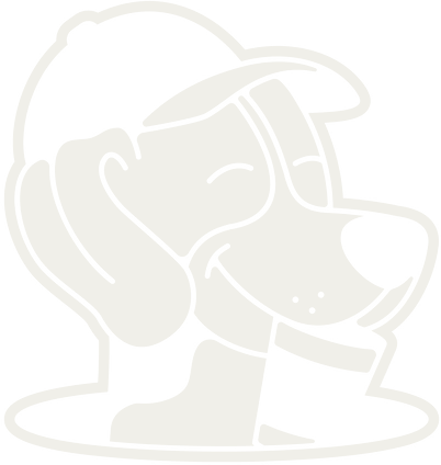 Gus the beagle, the Bore Da mascot, in a cap